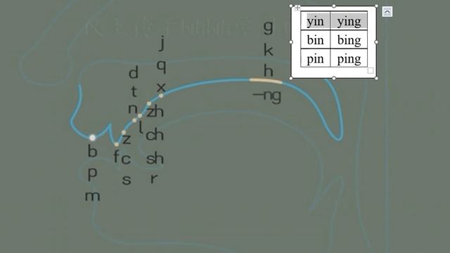 2.3 УРОК | Где находятся звуки китайского и как их искать во рту ?️ смотреть онлайн