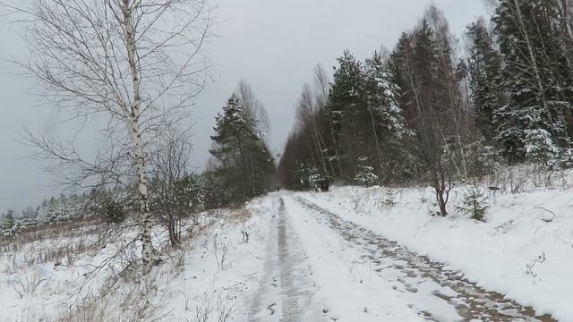 Квадроцикл Стелс Леопард 500YS охота по зайцу смотреть онлайн