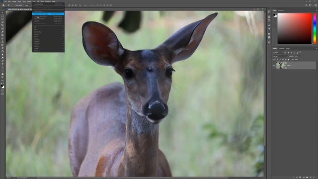 Photoshop | Convert for Smart Filters смотреть онлайн