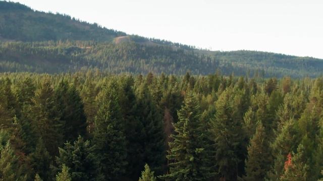 О страхе Божием смотреть онлайн