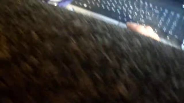 Сабвуфер 700ватт от машины и усилитель Pam 8403 ватта