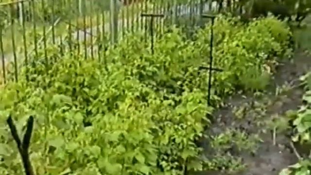 Дом детства и дача 2002 смотреть онлайн