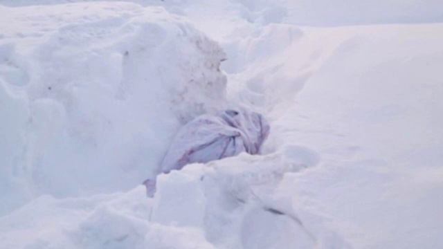 Люди нашли свёрток ,в снегу ,а что было внутри людей этого города повергло в шок смотреть онлайн