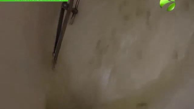 Рыба-Путешественница