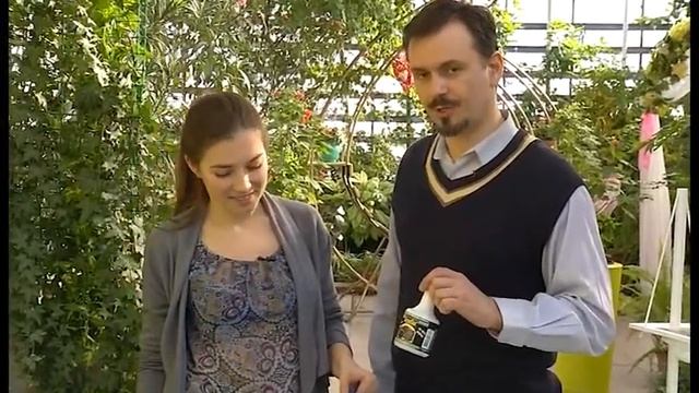 Пикировка томатов смотреть онлайн