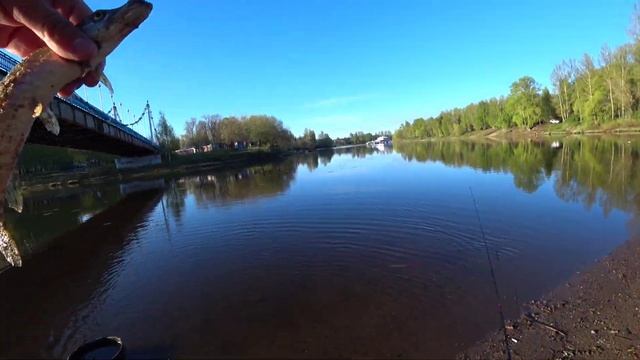 Мормышинг. Ловля рыбы в центре Ярославля. смотреть онлайн