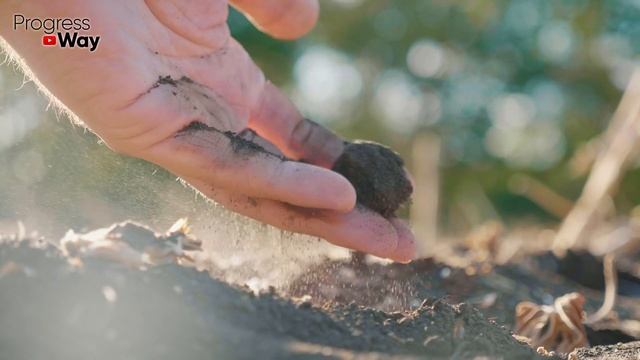 ГОТОВИМ ГРЯДКИ ОСЕНЬЮ К ЗИМЕ, Как Подготовить Почву К Следующему Сезону После Снятия Урожая! смотреть онлайн