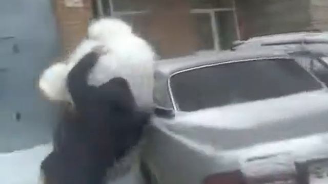 Медведя пытаются затащить в машину)) смотреть онлайн
