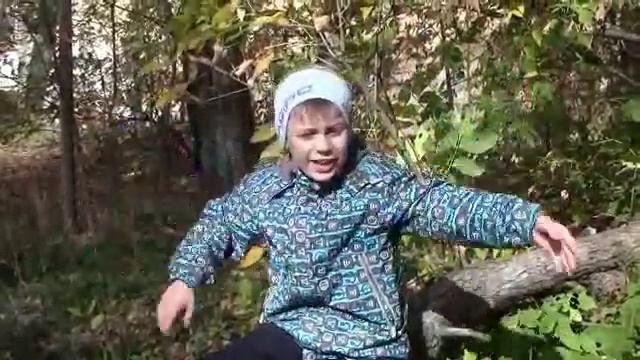 Леонид Мартынов «Листья» смотреть онлайн