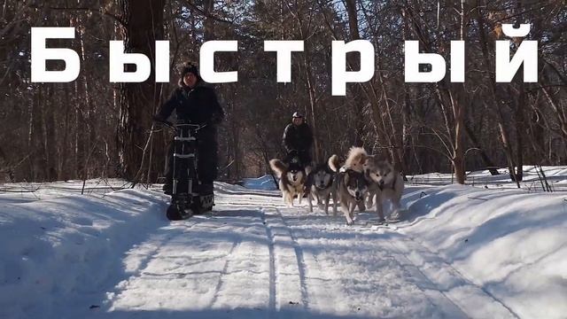 Самый бесшумный снегоход ЭЛЕКТРО в России 10 дб!
