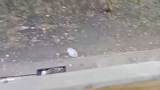 Сбрасываю яйца с болкона...Блин яйца разбились))))) смотреть онлайн