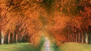 О не лети так жизнь