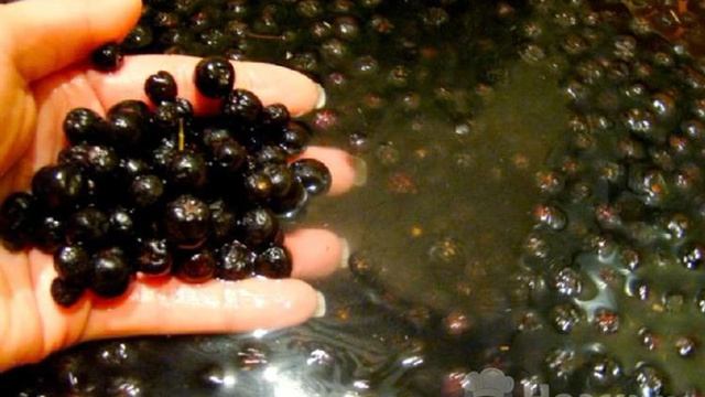 Книга рецептов