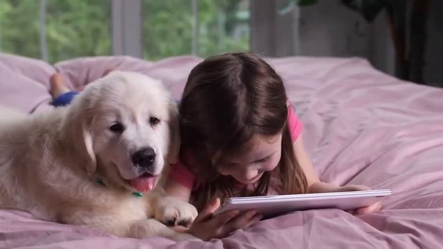 People Animals Girl Child Dog Laptop Smile Bed Look Люди Животные Девочка Ребенок Собака смотреть онлайн
