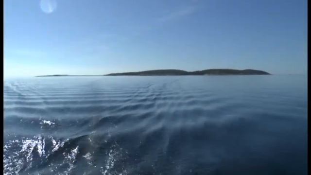 белое море 2013 смотреть онлайн