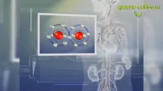 Зеленый кофе купить смотреть онлайн