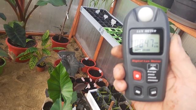 52. Doświetlanie roślin, sztuczne oświetlenie. Pomiary oświetlenia różnych źródeł światła. Część 2 смотреть онлайн