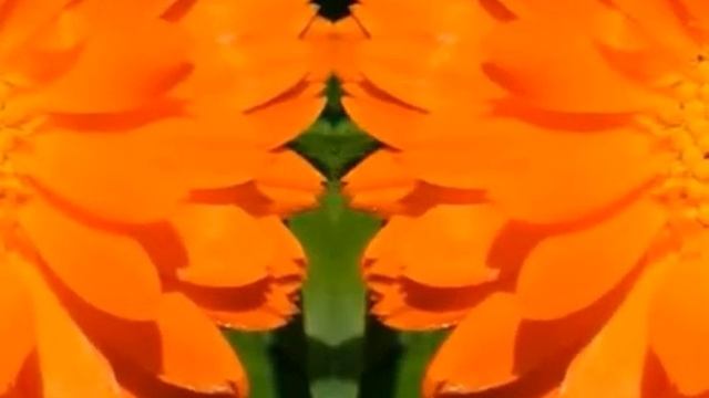 Энергетический сеанс ? ИСЦЕЛЕНИЕ ЧАКРЫ СВАДХИСТАНЫ ? обретаем внутренний баланс, радость ? смотреть онлайн