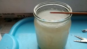 Как разбудить фитоспорин.