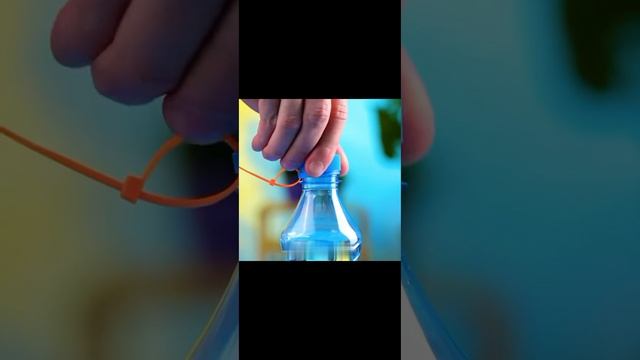 Лайфхак/ как носить бутылку правильно