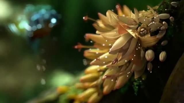 живые обои смотреть онлайн