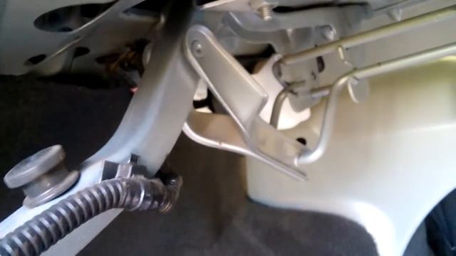 Чайковский житель