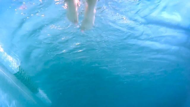 Speedo How To Series: Using the Elite Pullbuoy смотреть онлайн