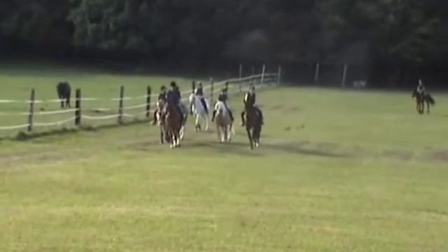 Reitschule Hinteraigen смотреть онлайн