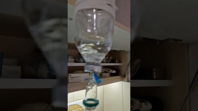 ИСТОРИЯ СПАСЕНИЯ ДЖОКЕРА ОТРАВЛЕНИЕ ШОКОЛАДОМ (ТЕОБРОМИН).@zoovetdoctor смотреть онлайн