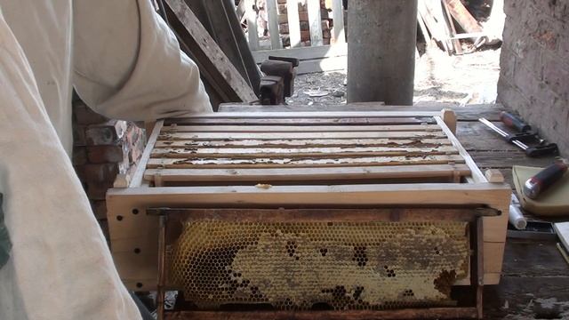 расширение рогатого улья полукорпусом + весенние первоцветы. смотреть онлайн
