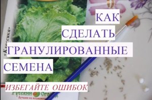 100 % экономия! Как правильно самим сделать гранулированные семена.
