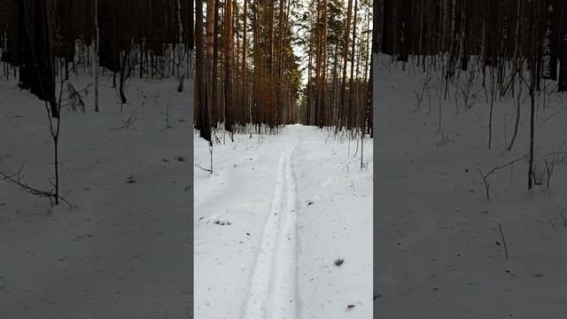 ЗМУ 2024 смотреть онлайн