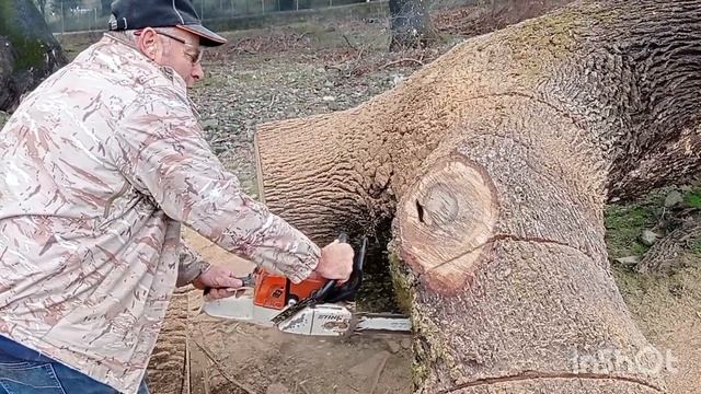 Stihl  066.