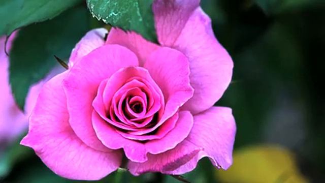 Слушать новую русскую музыку и видео - класс! смотреть онлайн