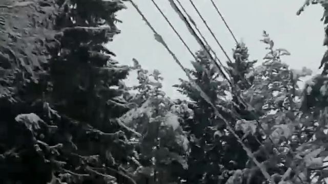Токсово смотреть онлайн