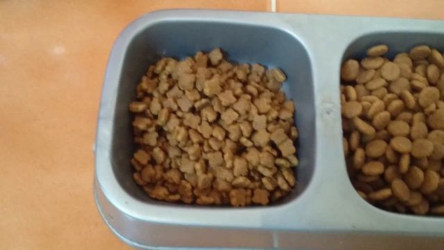 Royal canin indoor long hair vs royal canin kitten biscuits смотреть онлайн