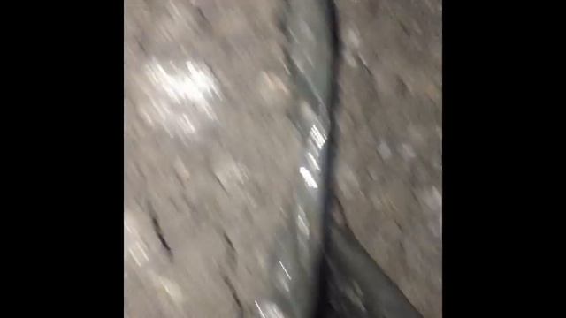 Производство шампиньонов! Прорастание покровного слоя, 5-6 день после покровки. смотреть онлайн