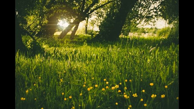 ЭТУ МУЗЫКУ МОЖНО СЛУШАТЬ ВЕЧНО | Расслабляющая Музыка Для Снятия Стресса смотреть онлайн