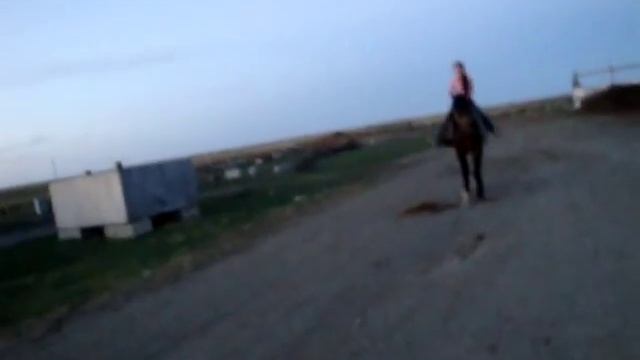 Прикольный заезд на лошади.MPG смотреть онлайн