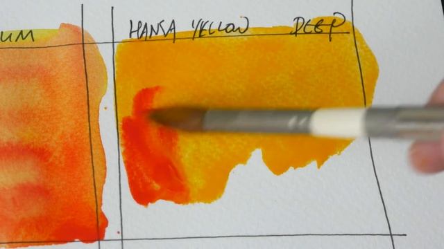 DS Hansa Yellows Compared