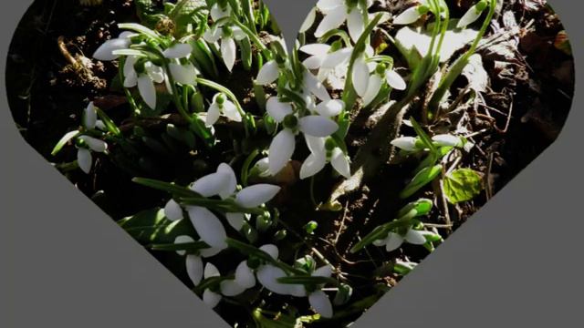 2011-03-06,Photo effects.mkv смотреть онлайн