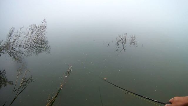 Начало осеннего жора щуки. р. Обь. г. Новосибирск. смотреть онлайн