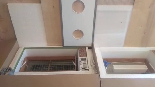 Заказ инкубаторов в 2021году Блиц норма парка и блиц норма лупер смотреть онлайн