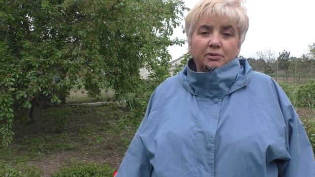 5 ПРОВЕРЕННЫХ СПОСОБОВ В БОРЬБЕ С МУРАВЬЯМИ. Мои цветы. Мой опыт. смотреть онлайн