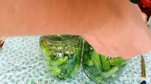 Бочковые огурцы. Самый быстрый, легкий, а главное вкусный рецепт.