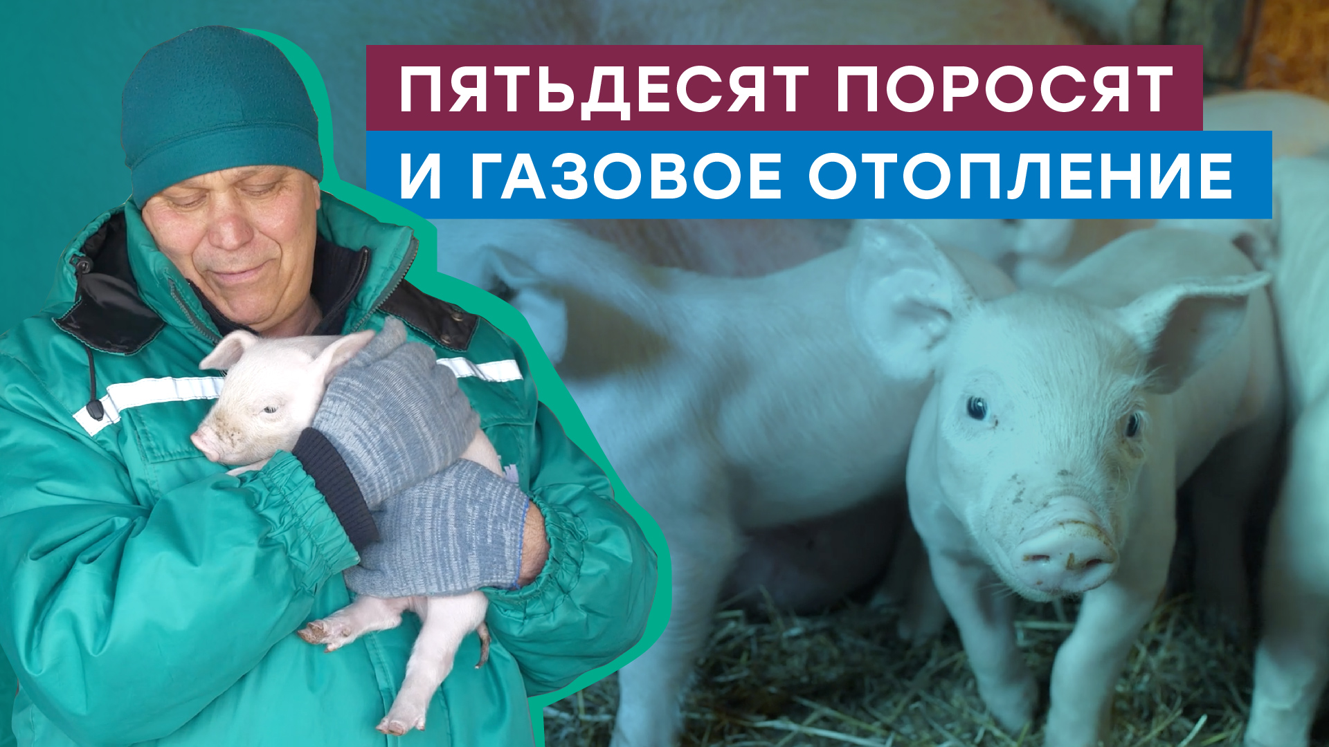 В гостях у семьи из Волгоградской области, чей дом недавно был подключен к газу смотреть онлайн