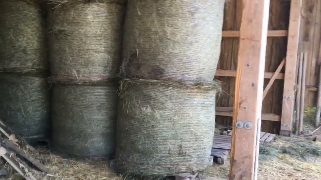 Ферма в Германии,Заготовка сена на зиму