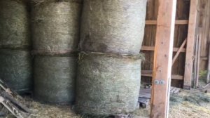 Ферма в Германии,Заготовка сена на зиму