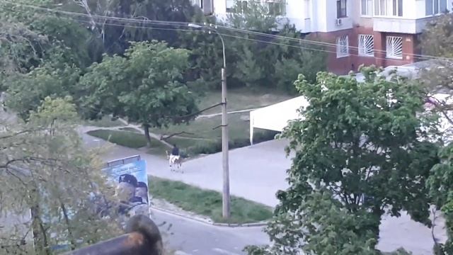 Супер экономичный и экологичный транспорт для города и дачи смотреть онлайн