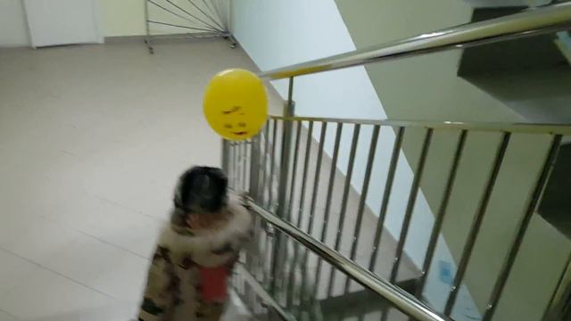 VLOG : Наш обычный день/Как проходит обучение базовым кулинарным навыкам? смотреть онлайн